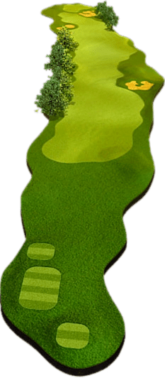 лунка